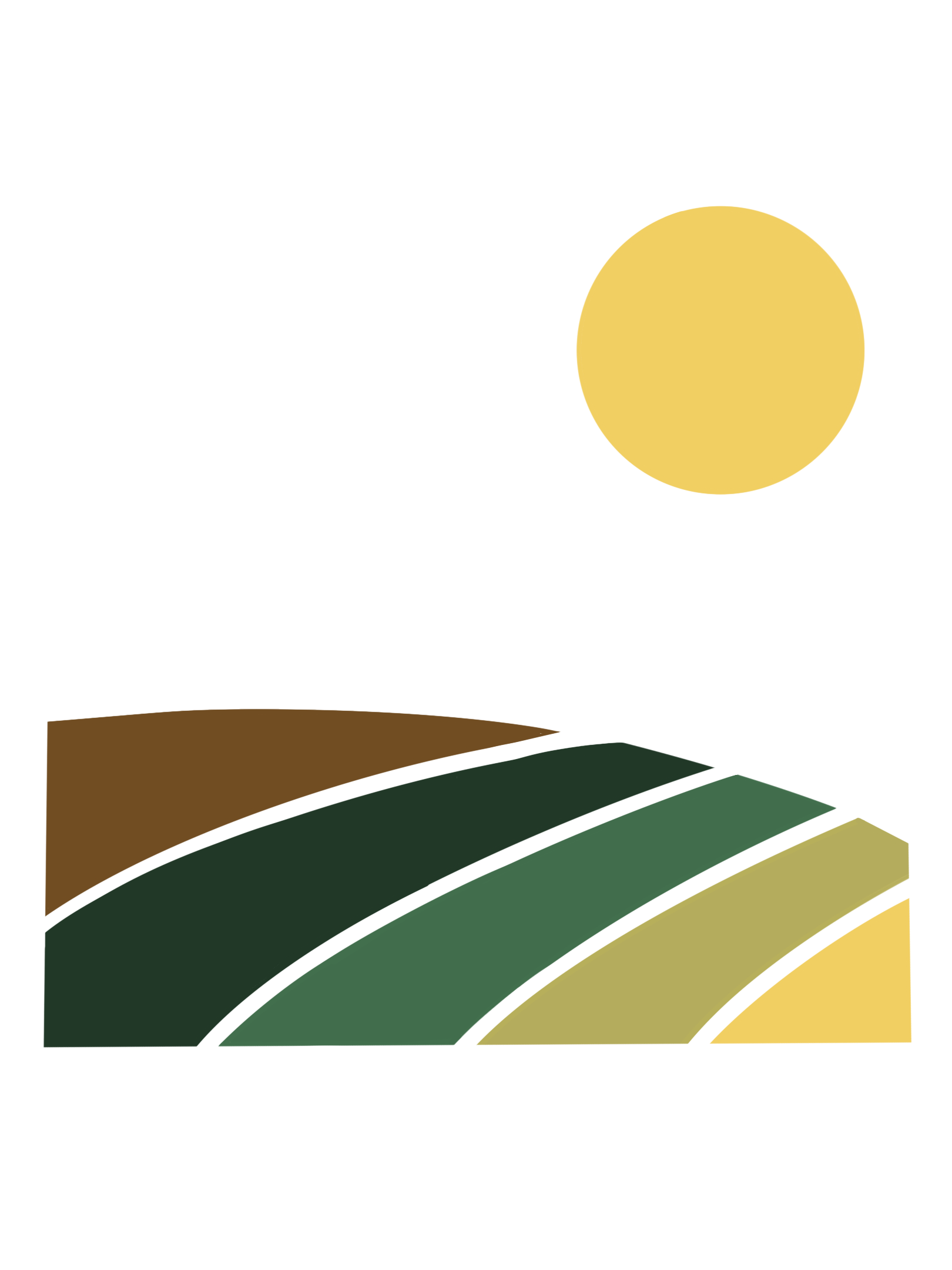 sunny field