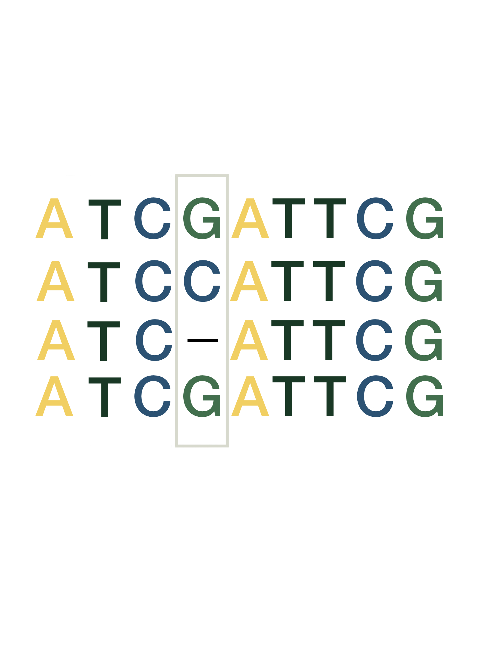 dna strands