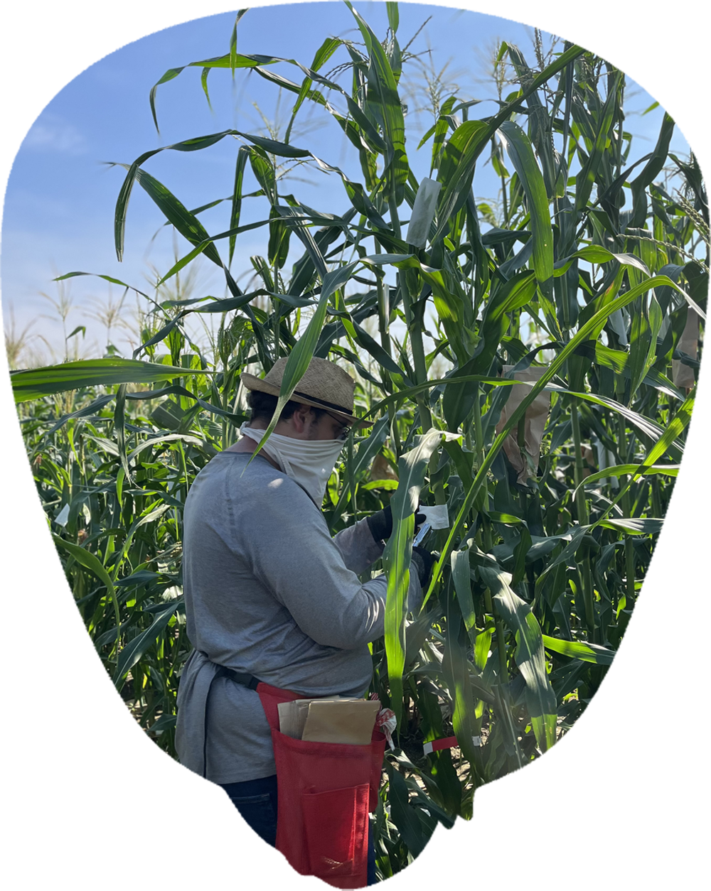 field worker