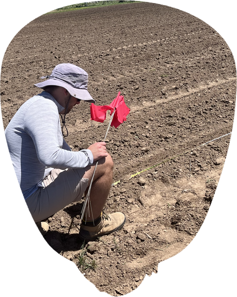 field worker