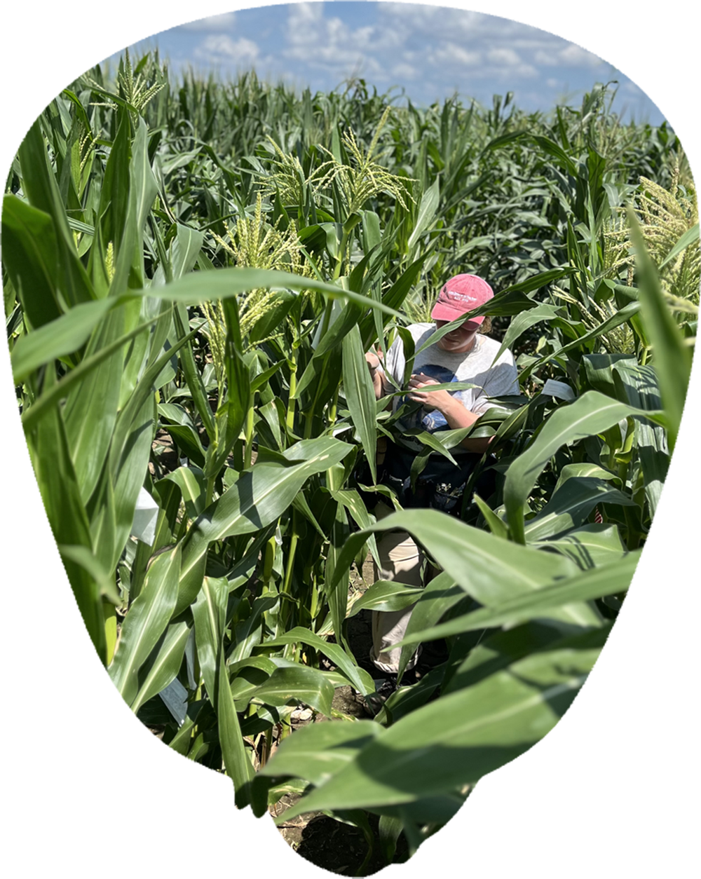 field worker