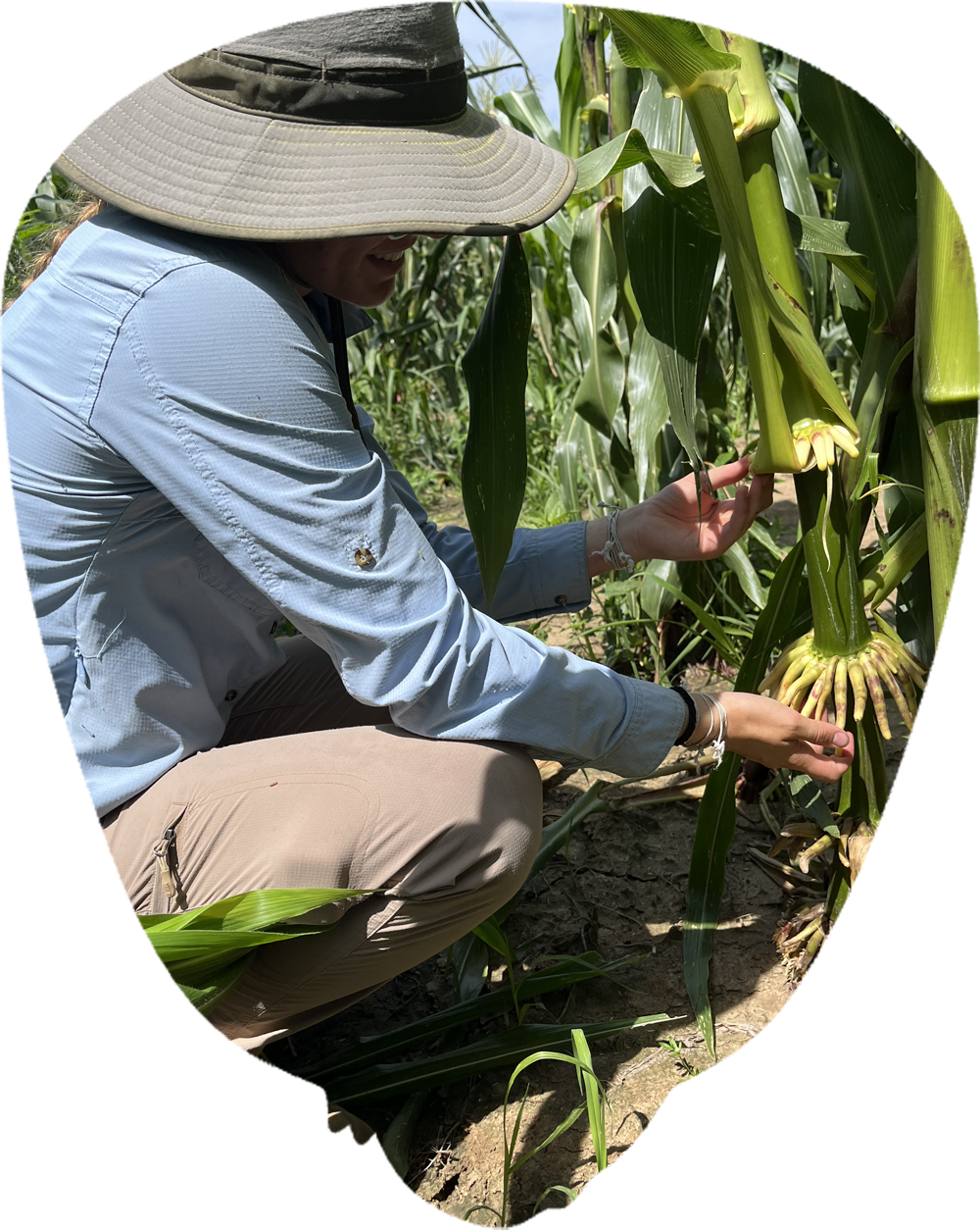 field worker