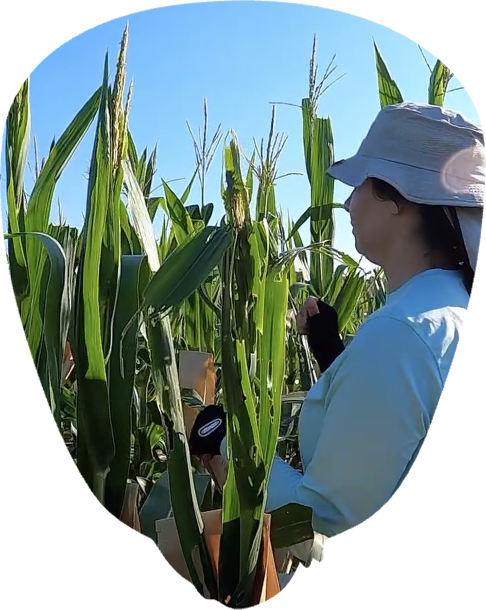 field worker