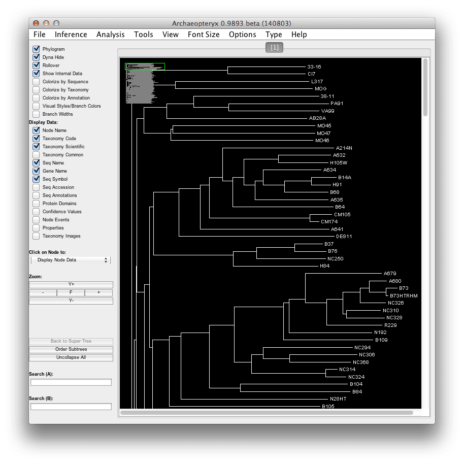 Tree.png