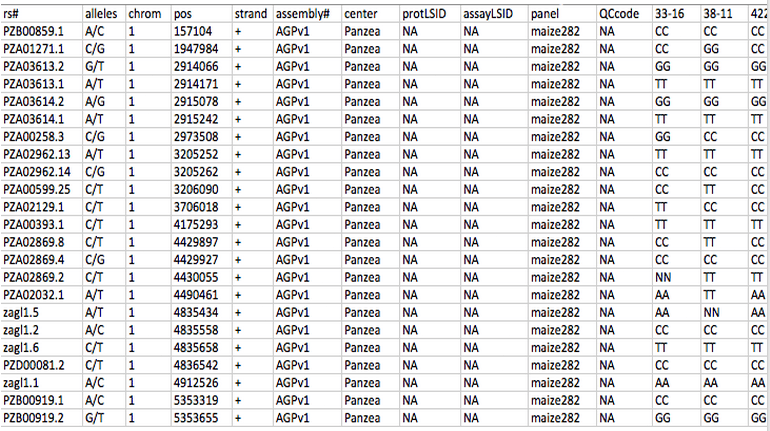 Hapmap_Example.png