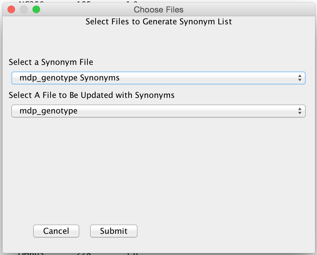 Synonymizer step 3